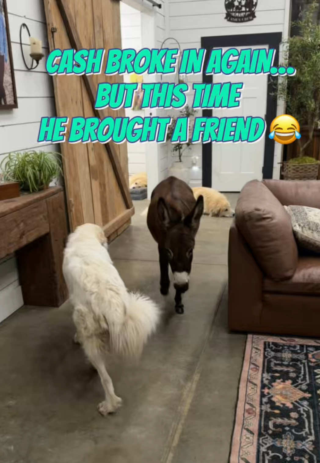 @Our Simple Homestead