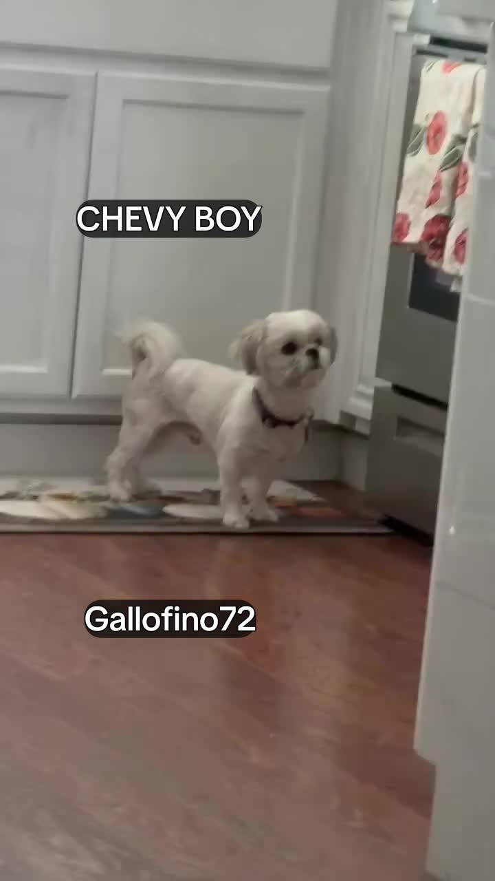 @ElGalloFino