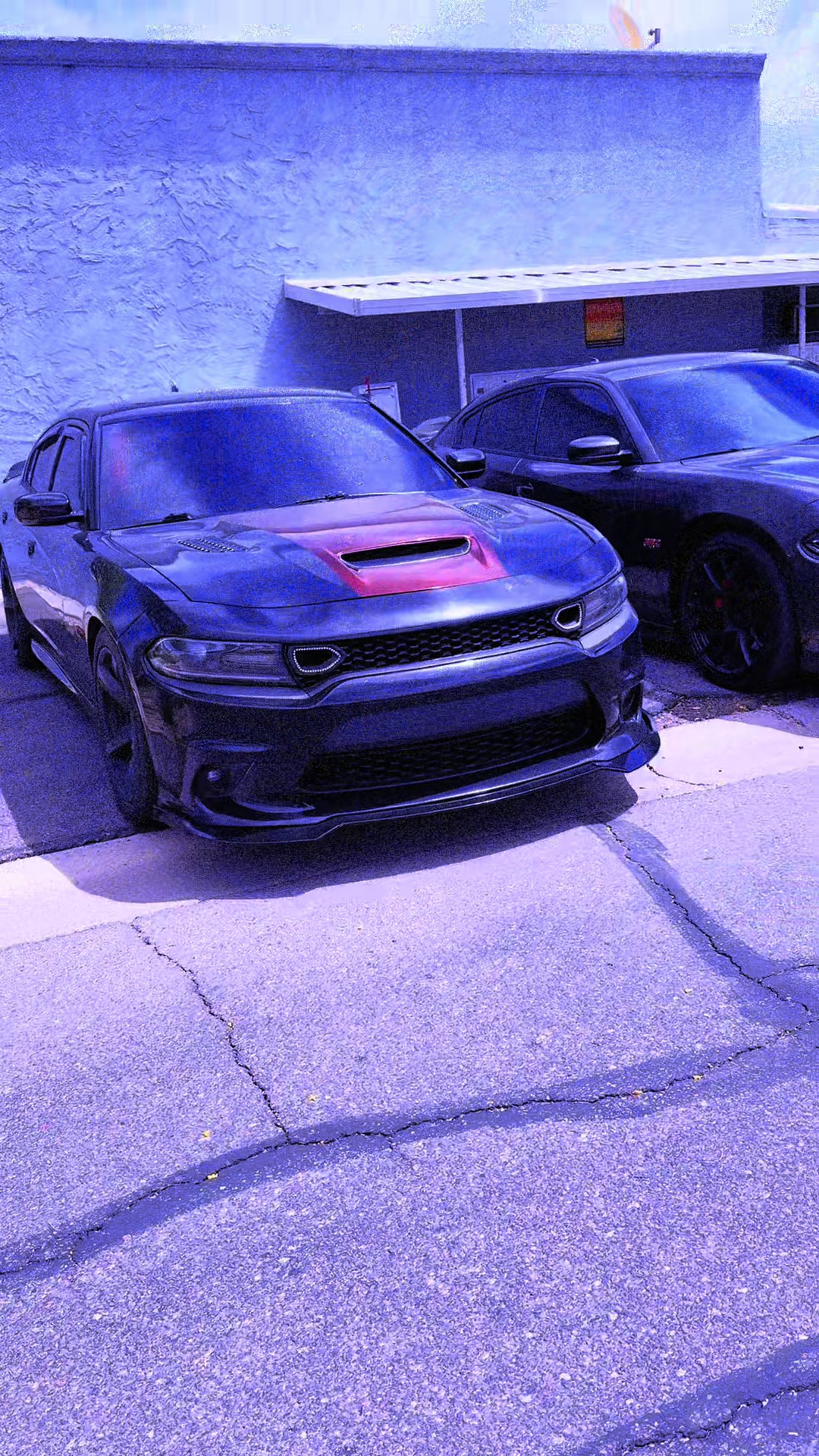 @papa_midnight_392