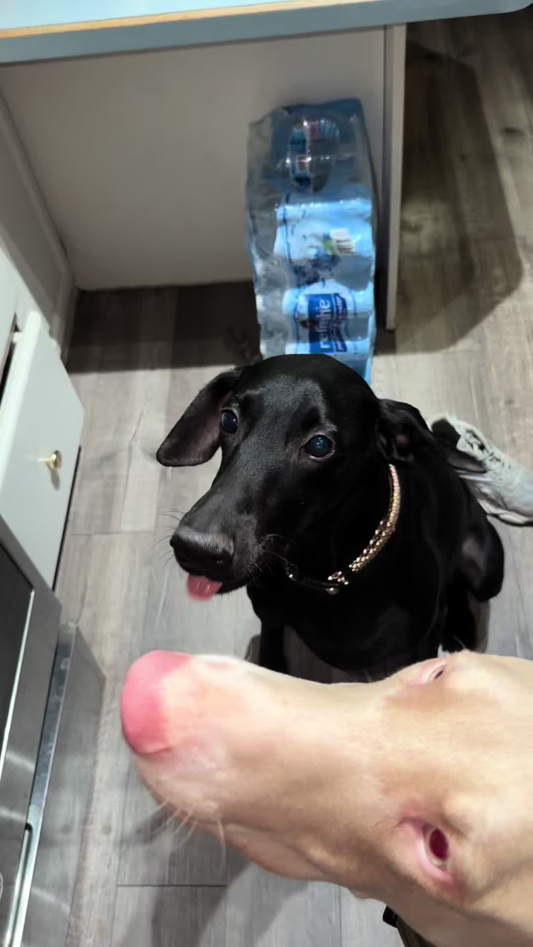 @Millie ✨️🖤