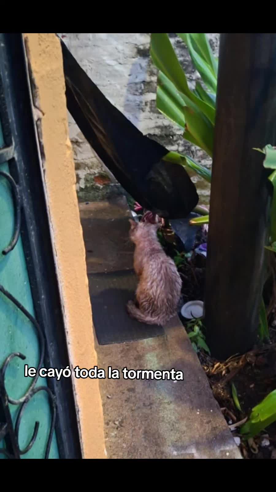 @𝕃𝕚𝕤𝕤 ℝ𝕖yes🇸🇻