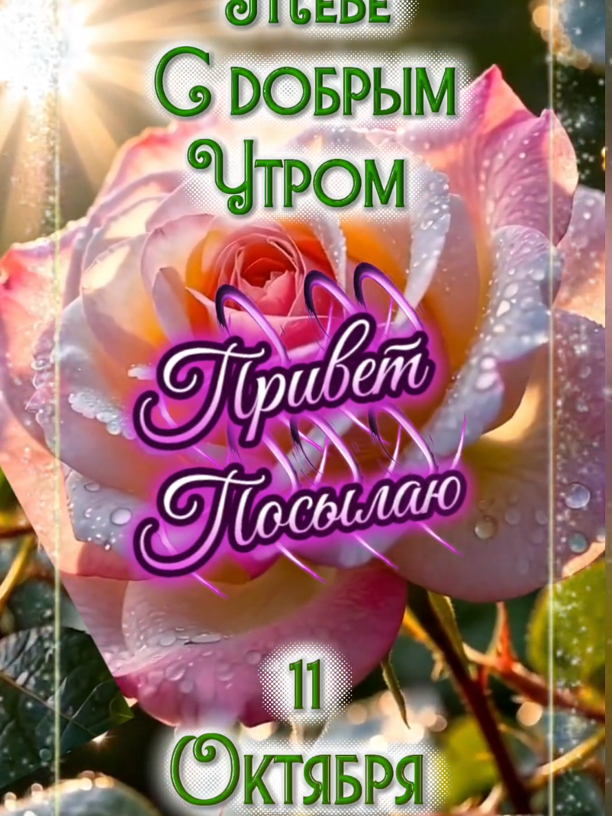 @👑Лилия 👸 Liliya 👑