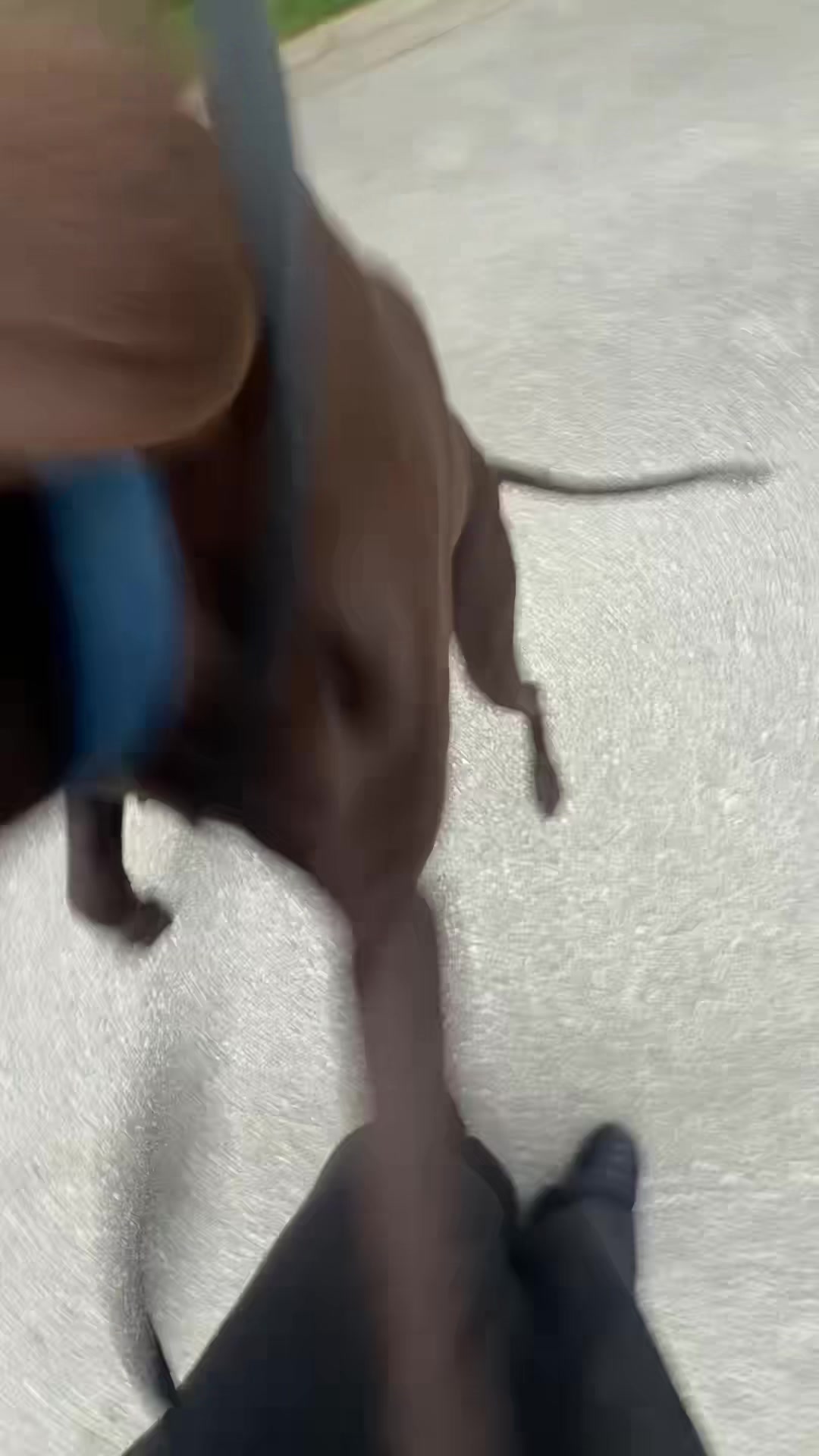 @OGslimyfella