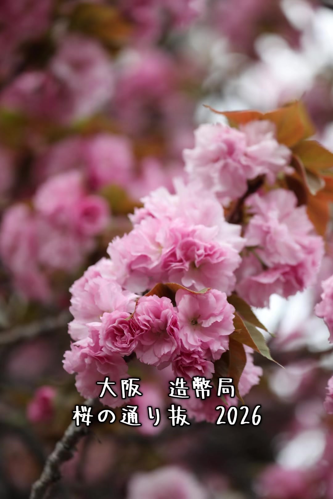 @てっつん〜伊勢おいないな日記〜
