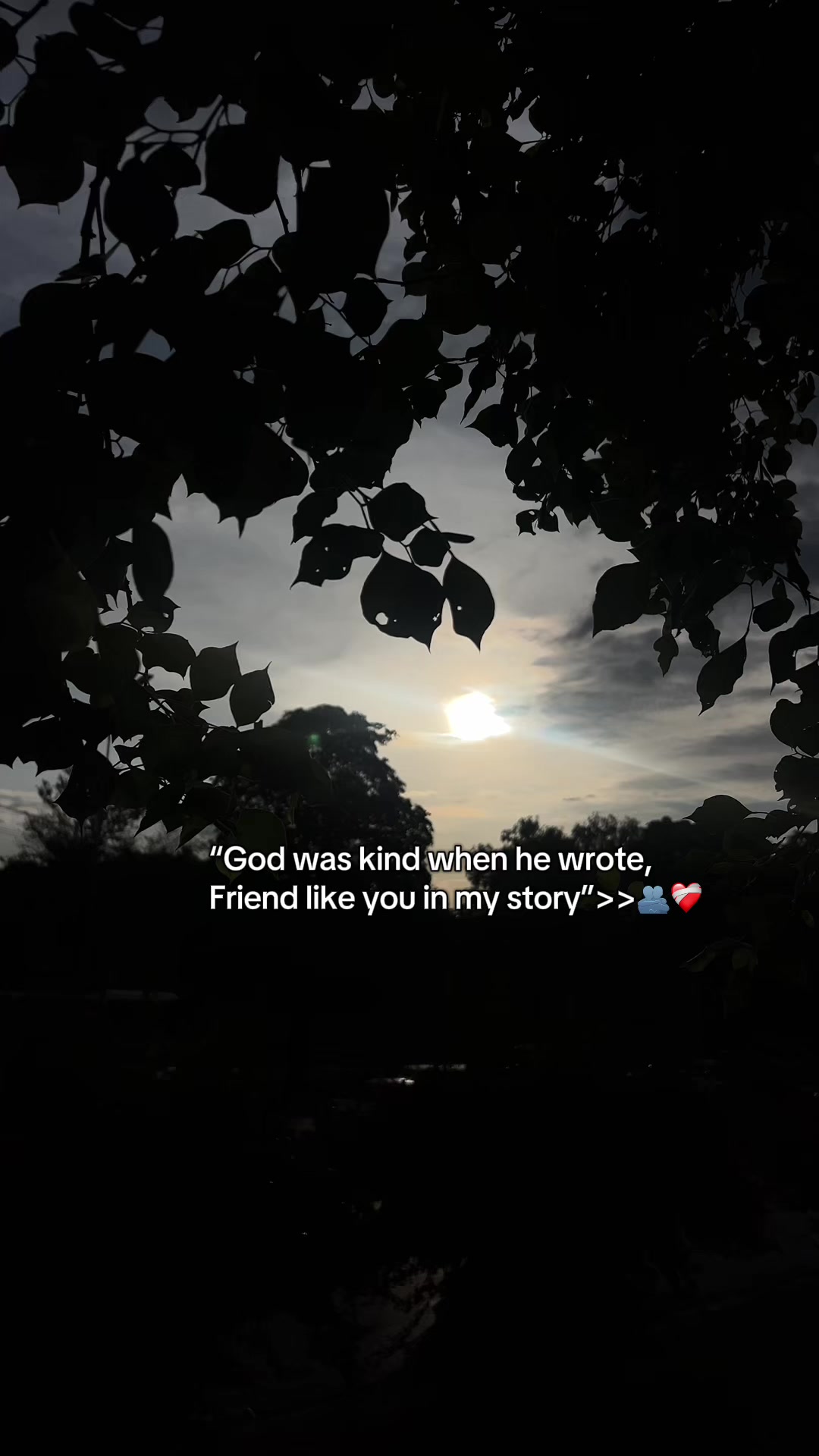 @NaصiR>>❤️🩹