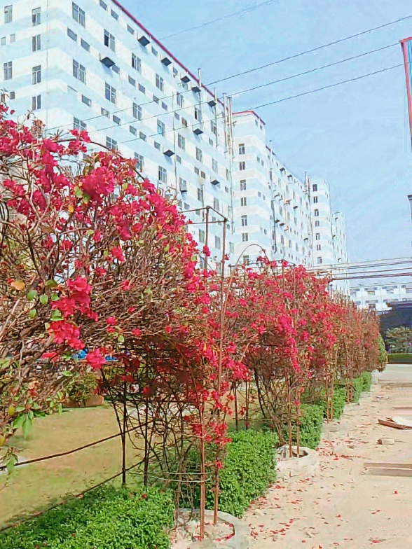 @প্লিজ সবাই একটু সাপোর্ট করবেন