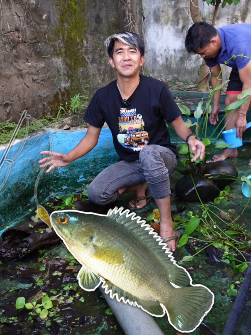 @imam noer
