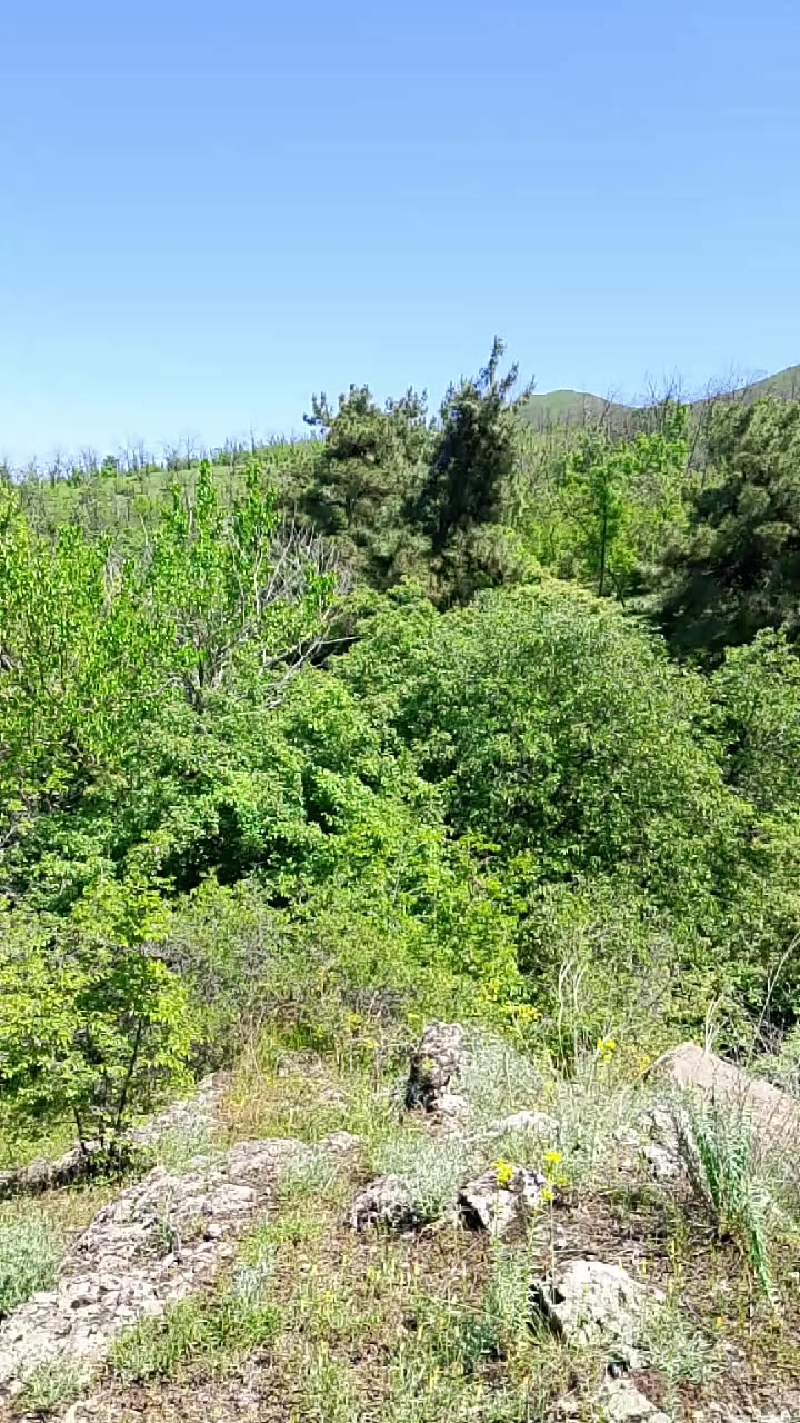 @Georgia_Borchalı🇬🇪🇦🇿