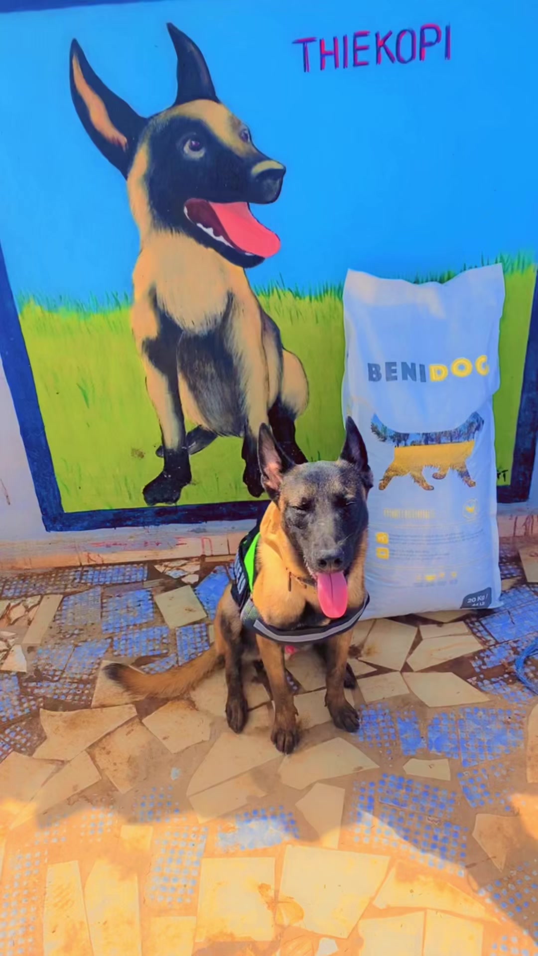 @G.I.C.N 🇸🇳🐾Ma&icirc;tre Weuz🐕&zwj;🦺