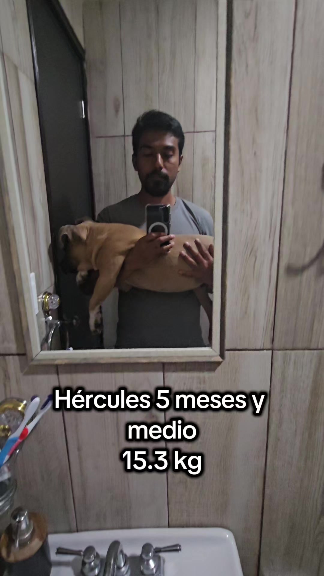 @Nutriólogo Vazfit