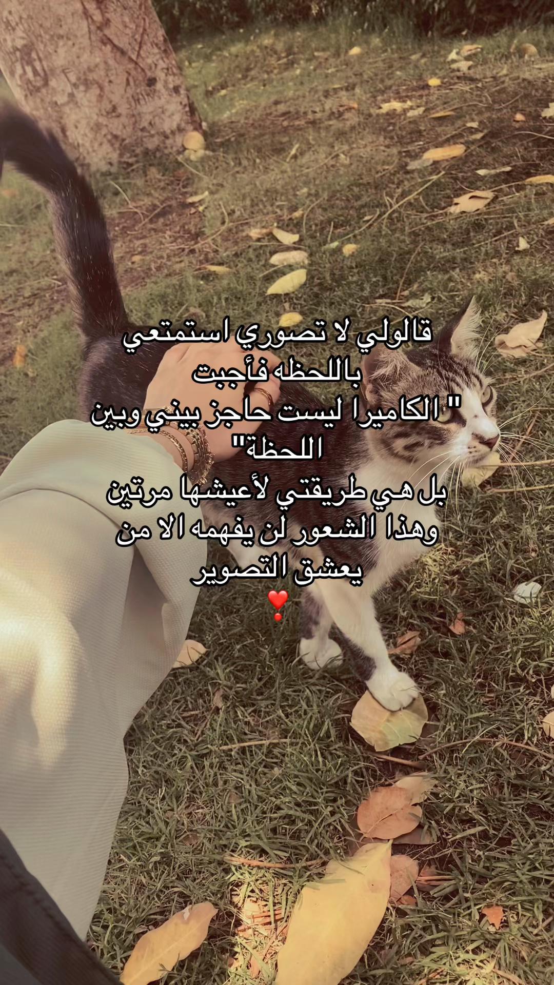 @آمَاٰلٓ🥷