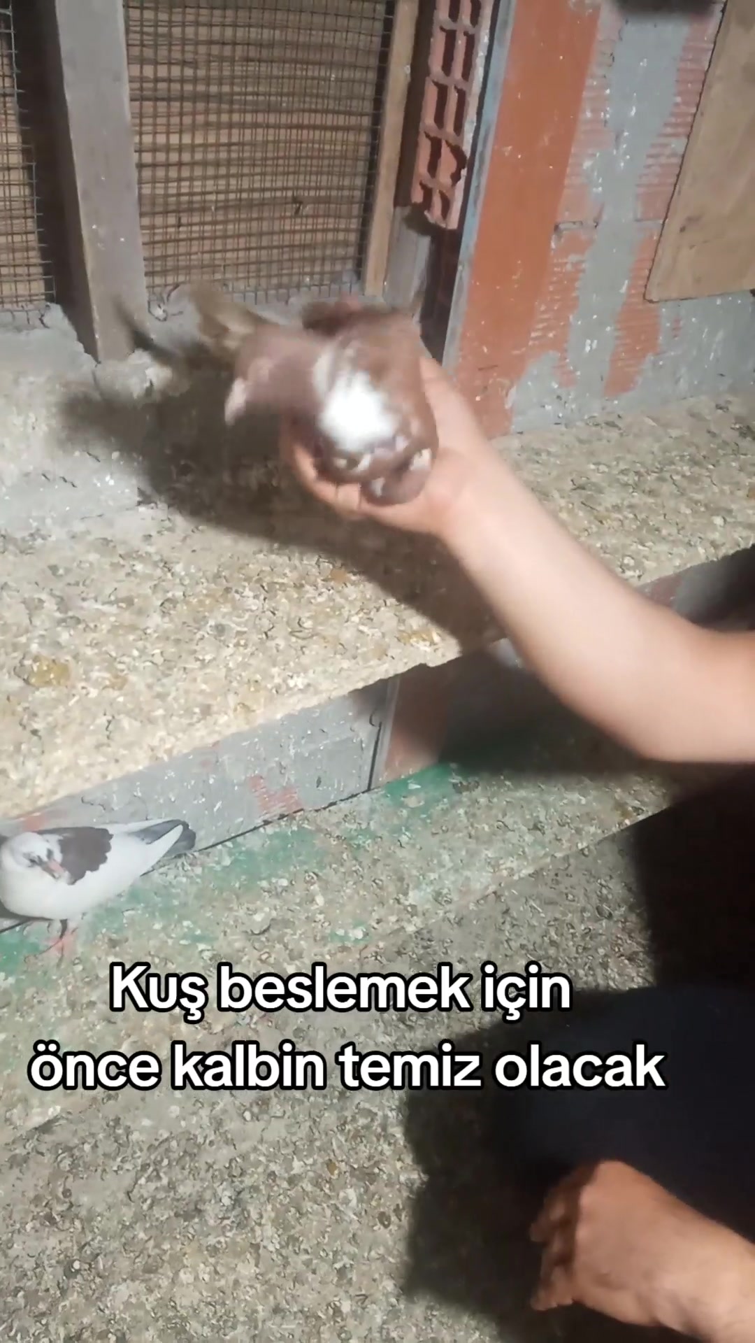 @Şahinci_ler