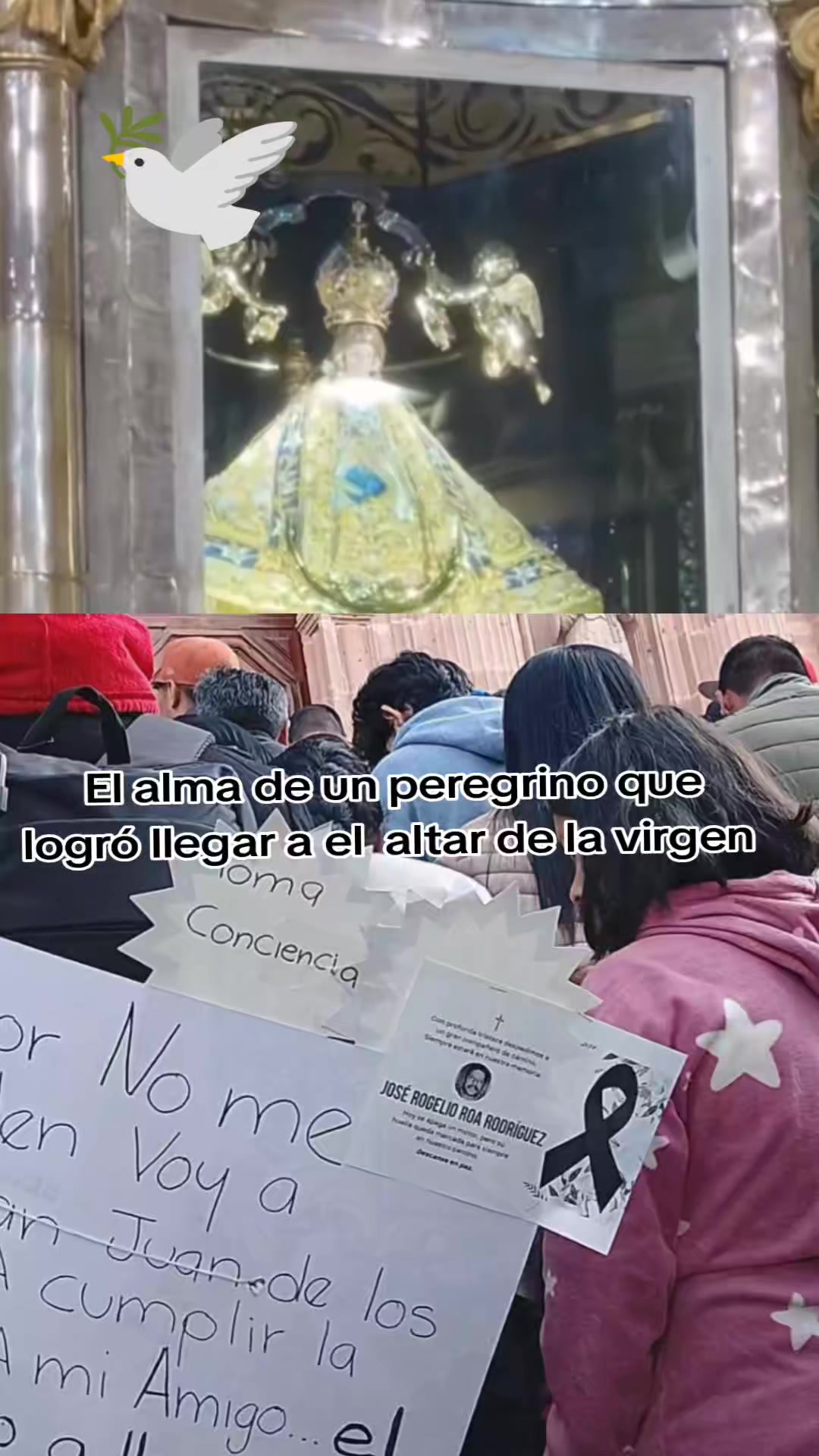 @El MERO DATO