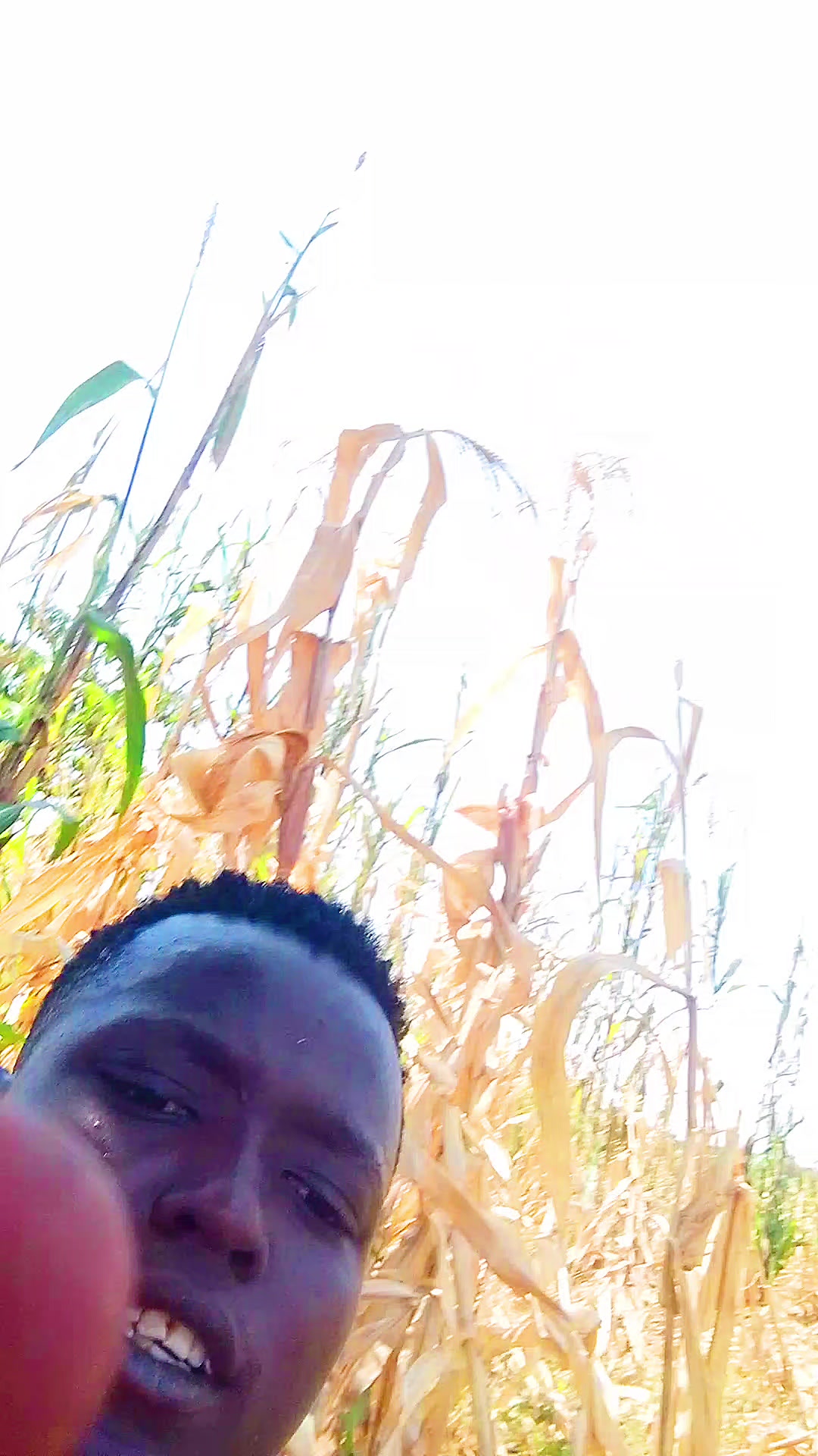 @chukure zayse shato