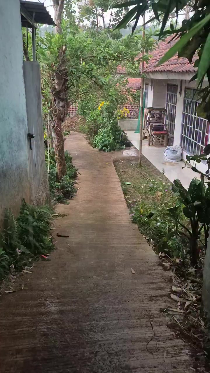 @Qatar 🇶🇦