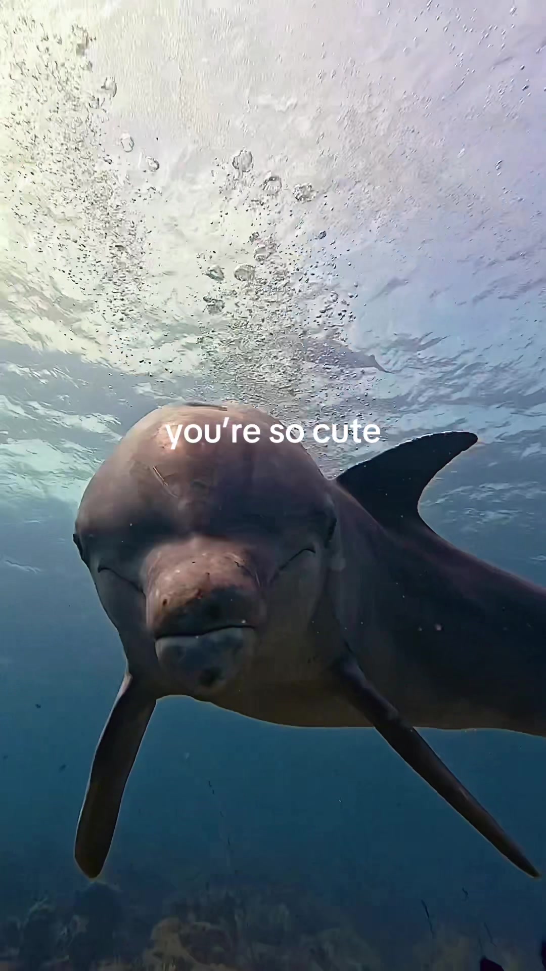 @ⒿⒶⒸⓄⒷ