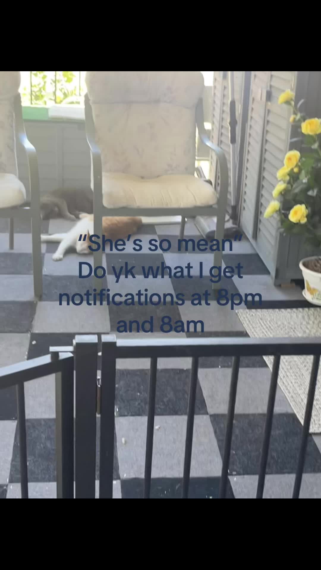 @๐๐