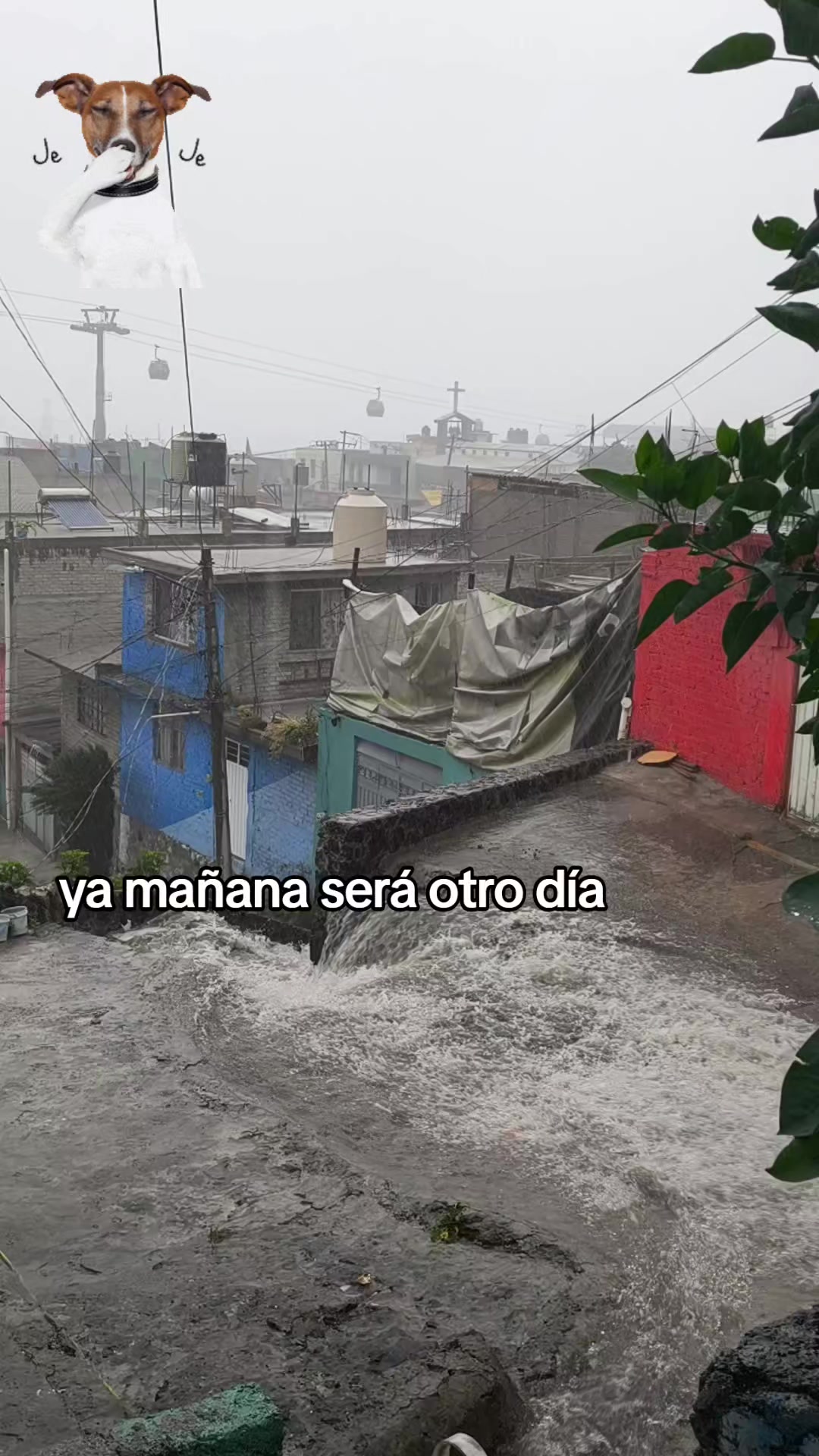 @Alicia