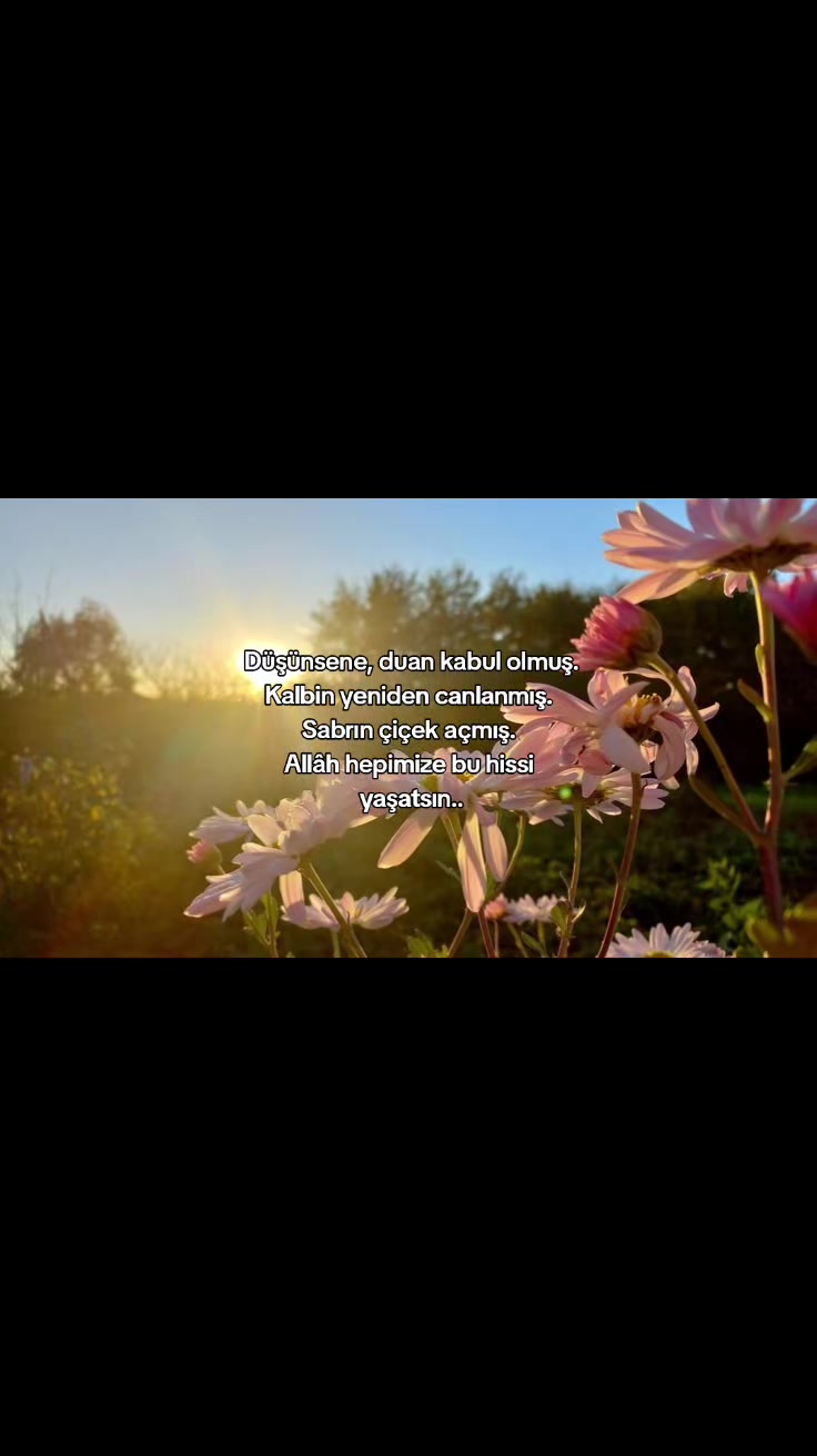 @𝐀𝐬𝐦𝐢𝐧🦋
