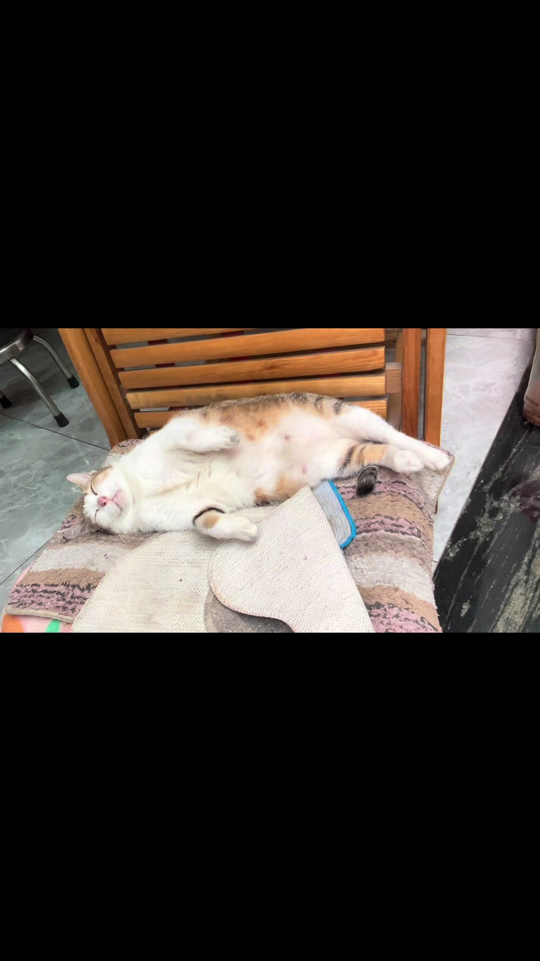 @🐶Beo 💕😻Mi