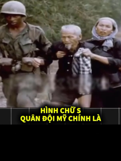 @Dòng Máu Việt