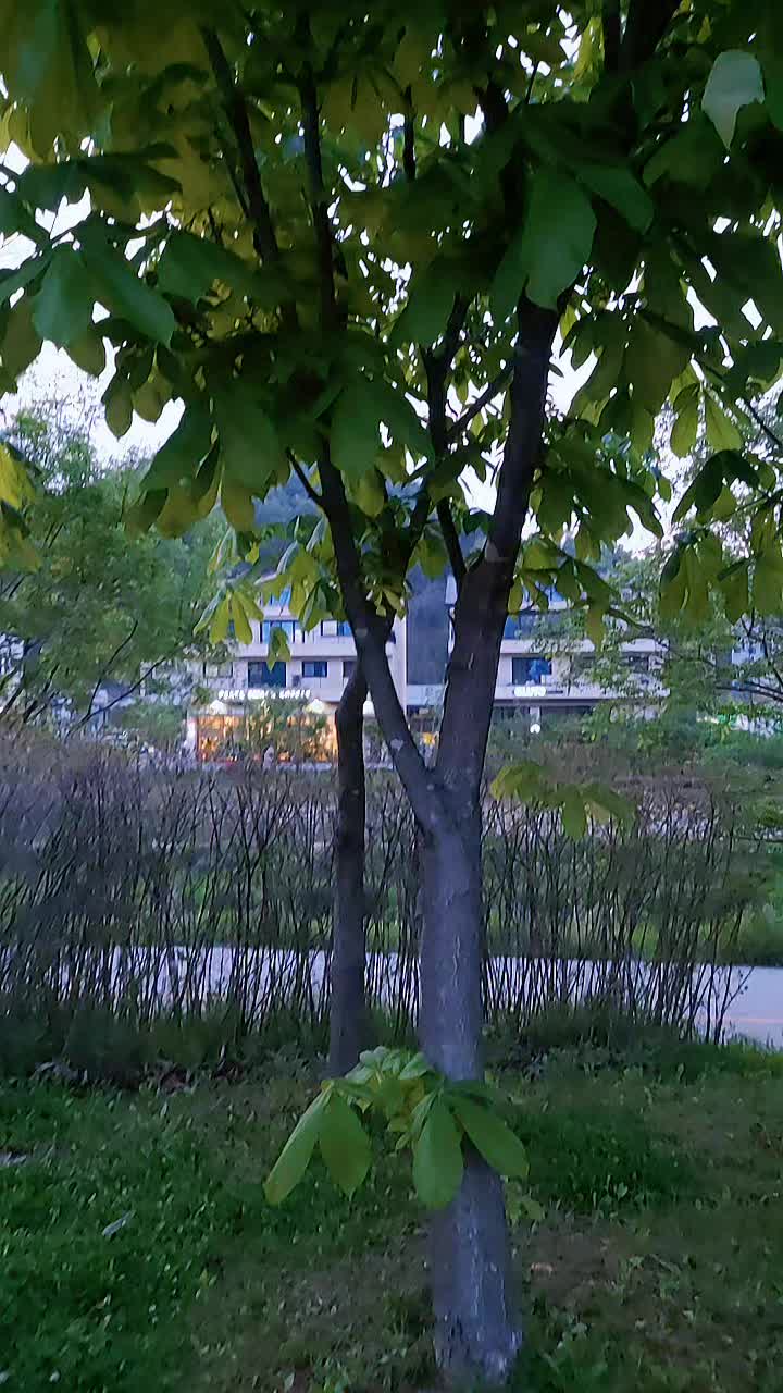 @S-K6562
