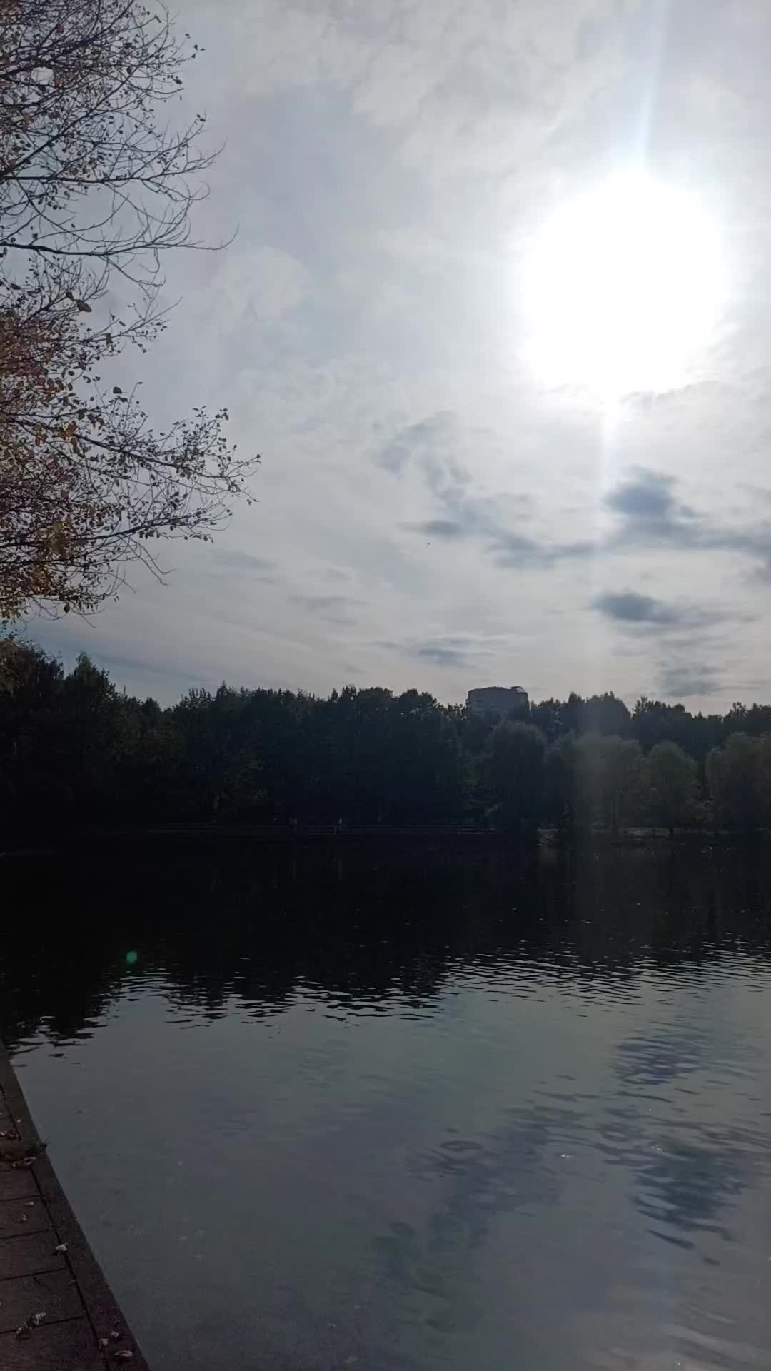 @Незабудка