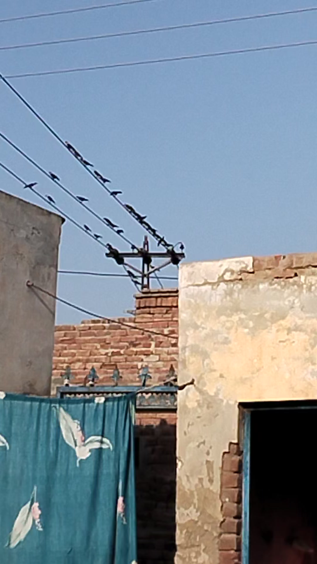 @bhaoji
