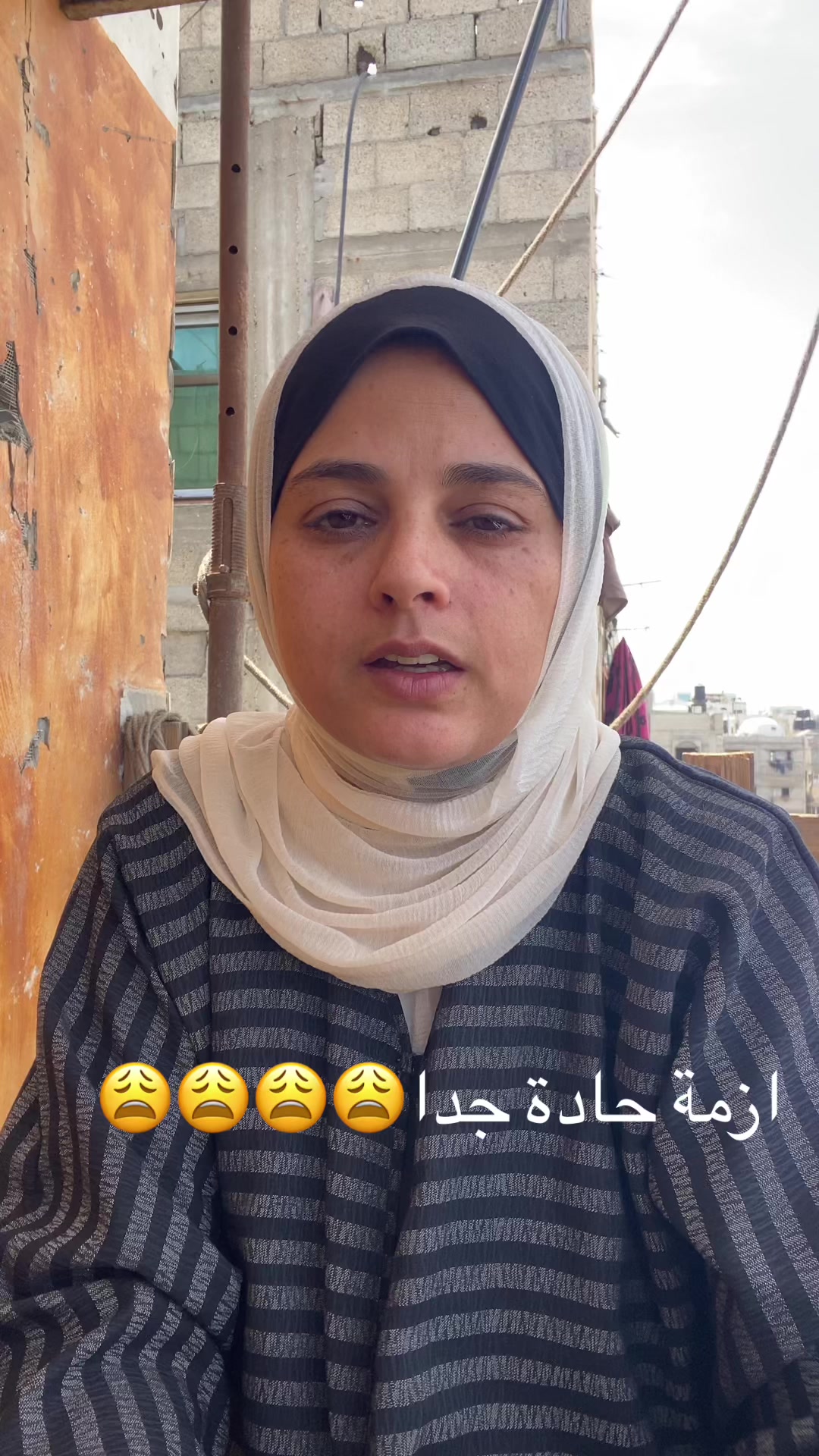 @هالة الاخشم