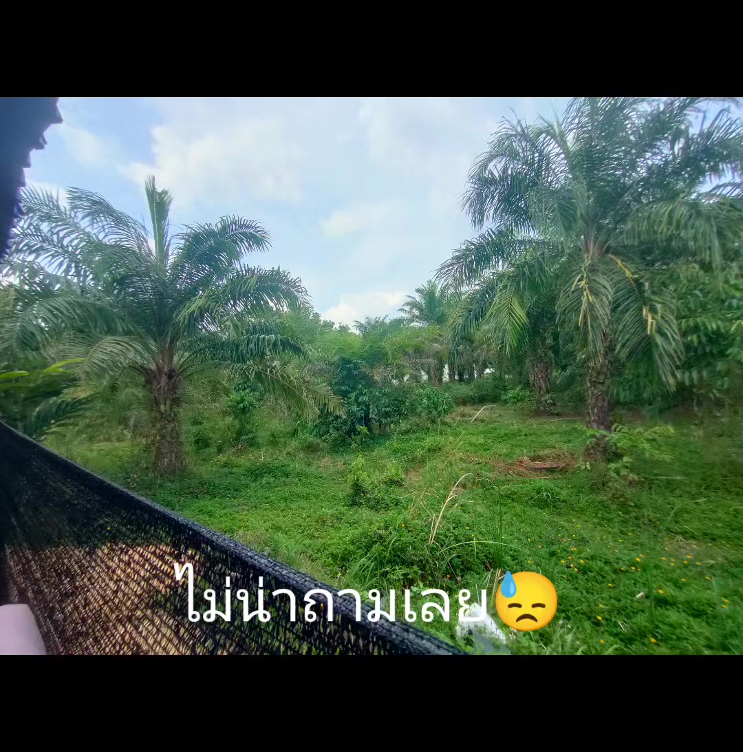 @น้องมิเอะไงงับ😘