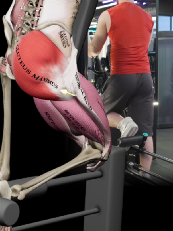@Muscle & Motion