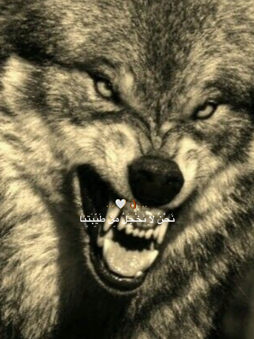 @🦅♟️الكاسح السوري♟️🦅
