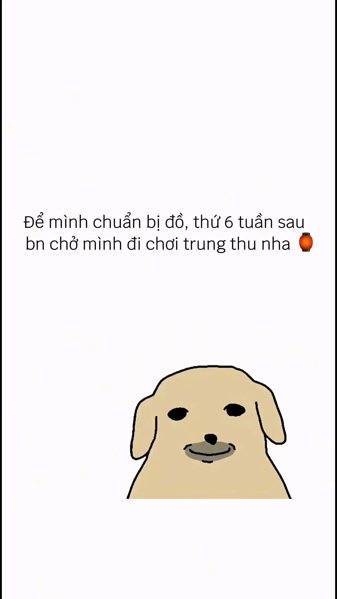 @Hoangnam01