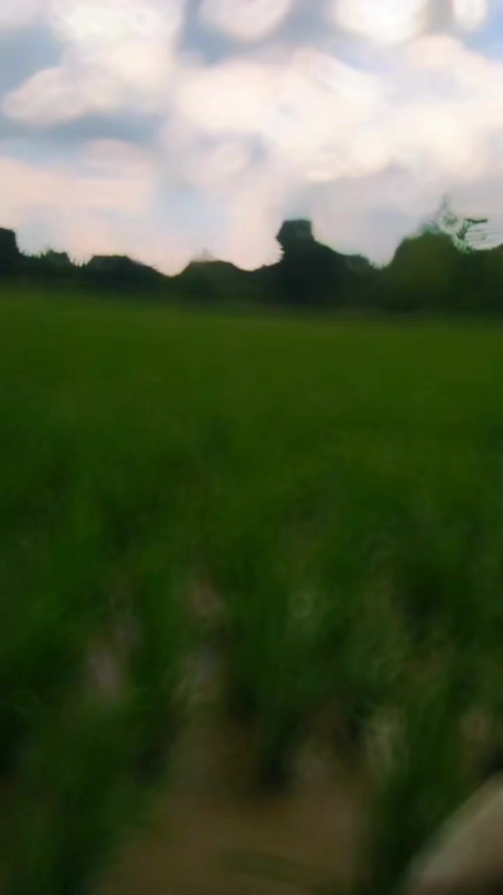 @Mandal Bhai 8848
