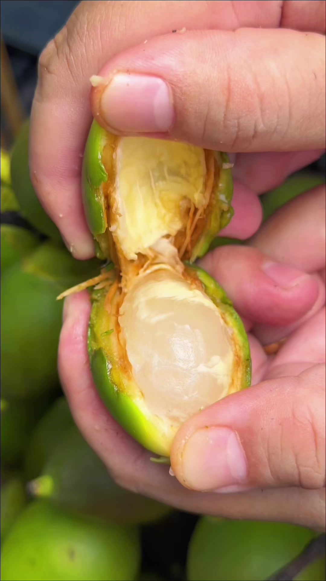 @Mặt Bự Thích Nấu Ăn