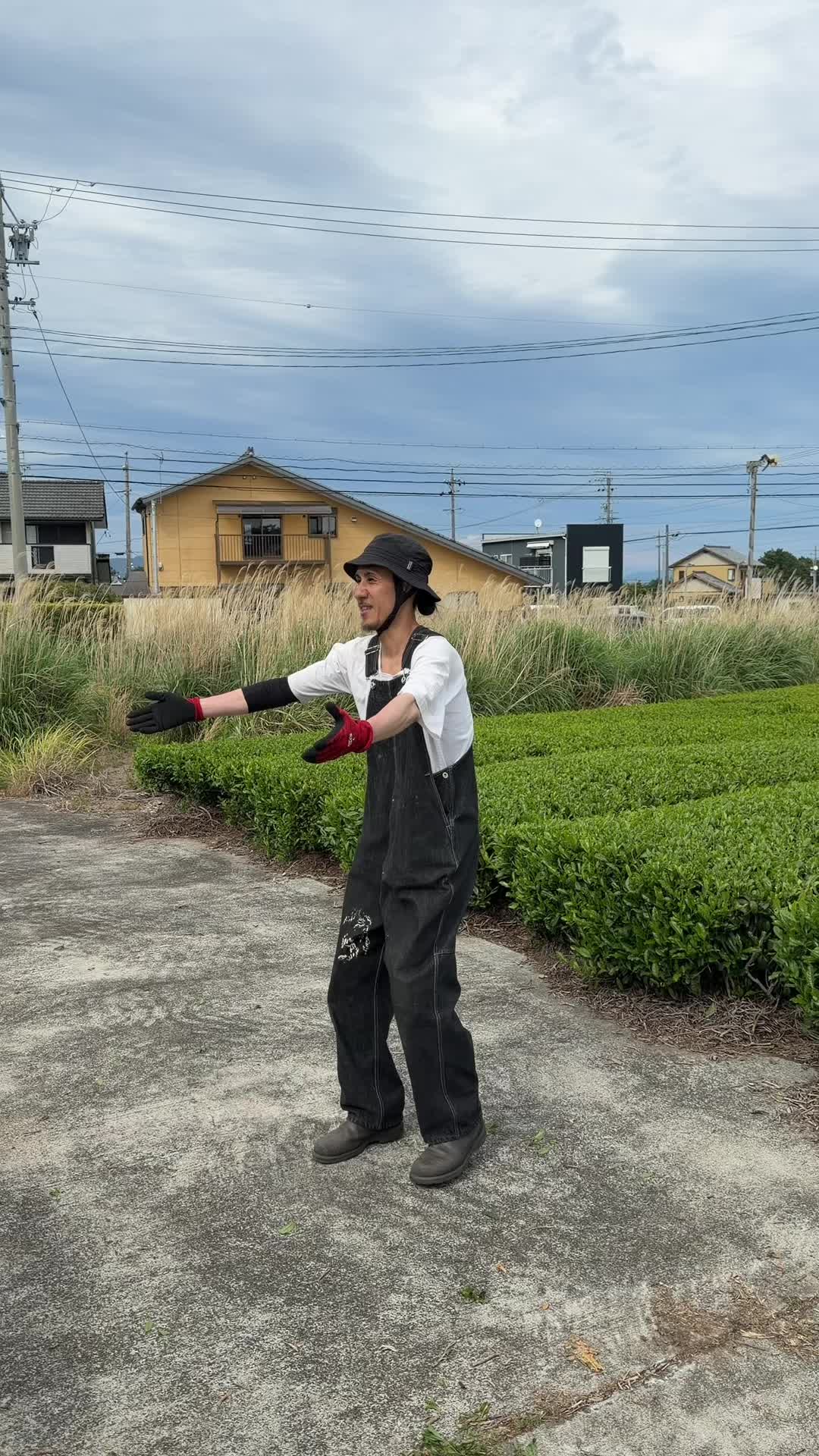 @Nekohama Matcha