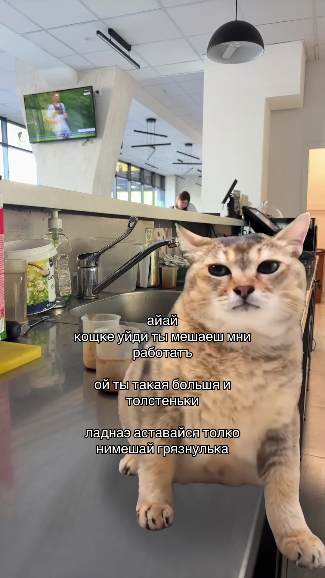 @ТГК mmaeaemm