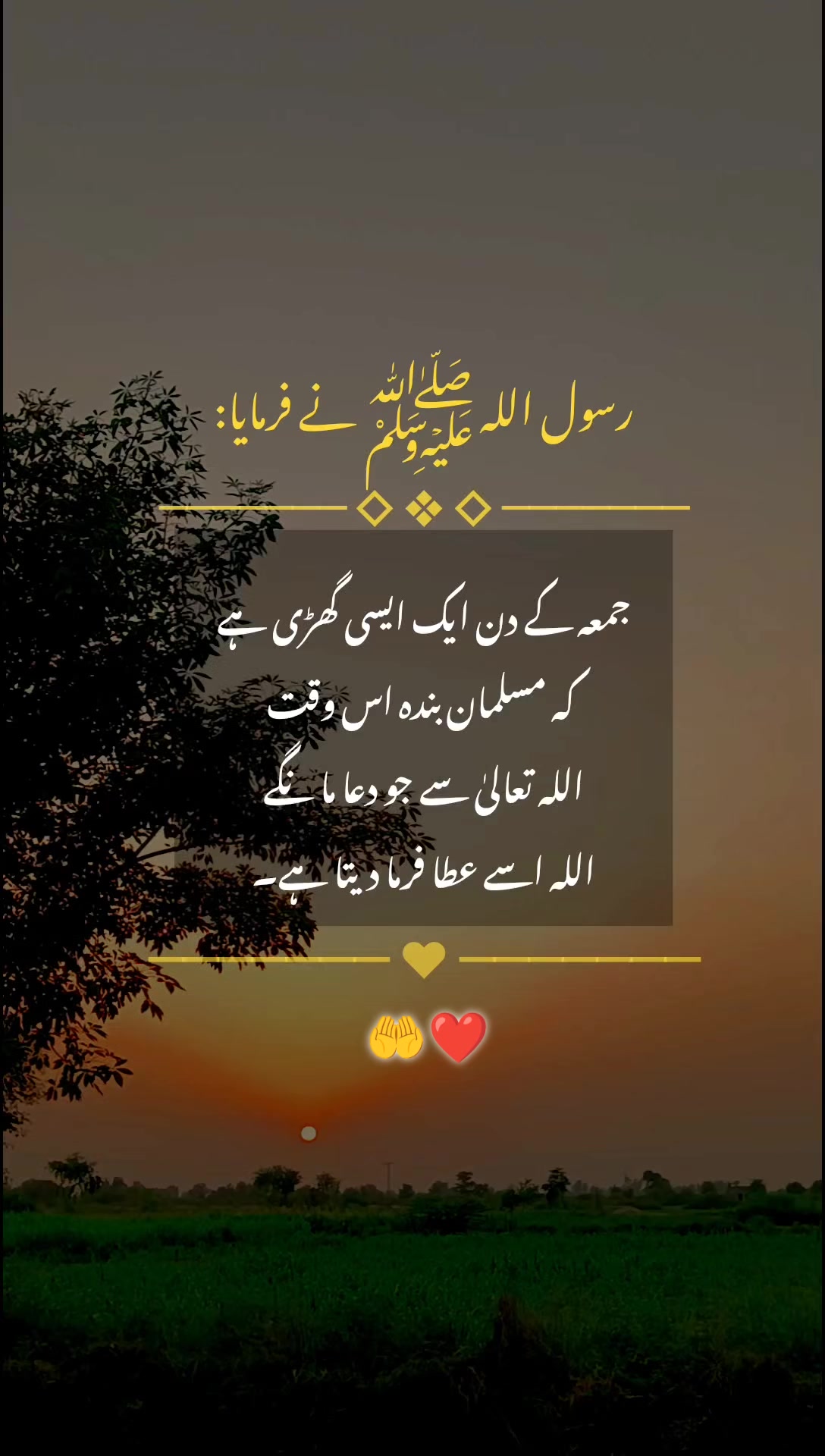 @عدنان♡