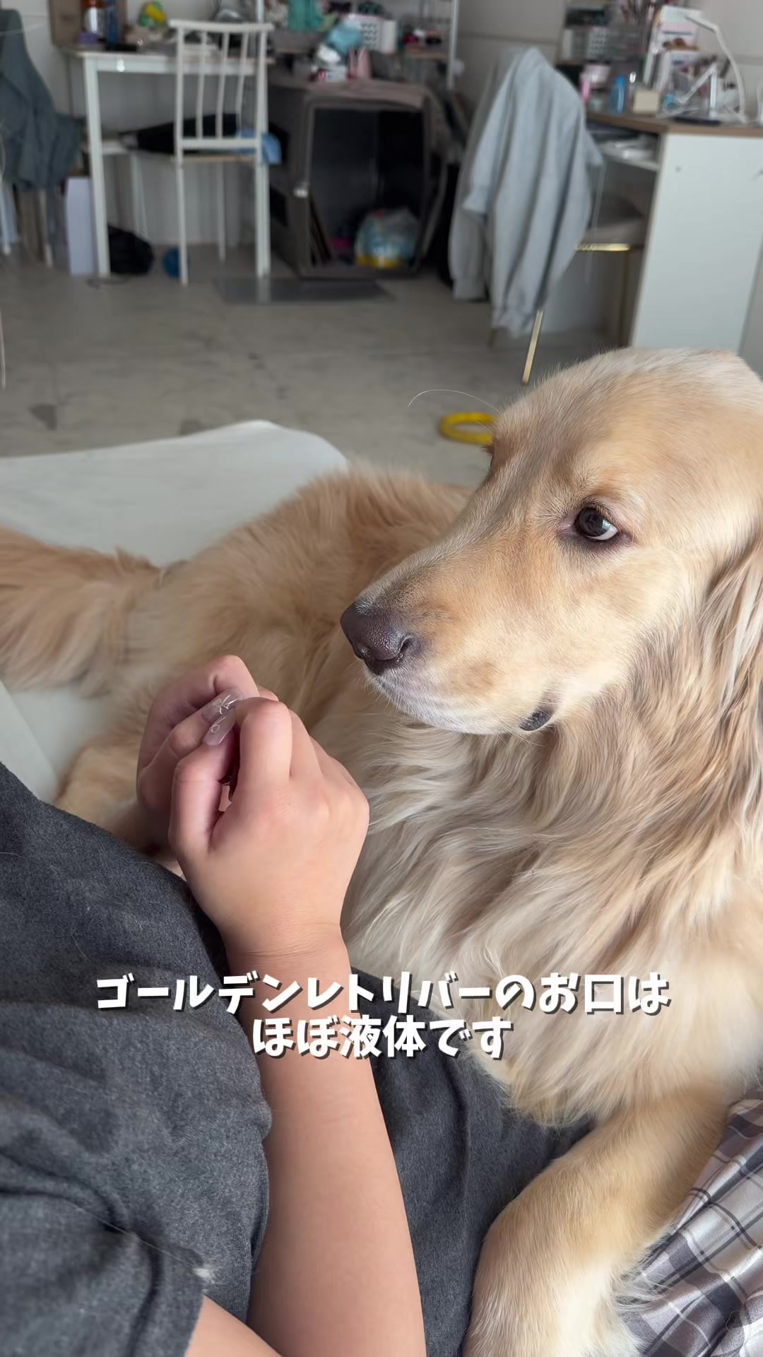 @おにゅこじハウス