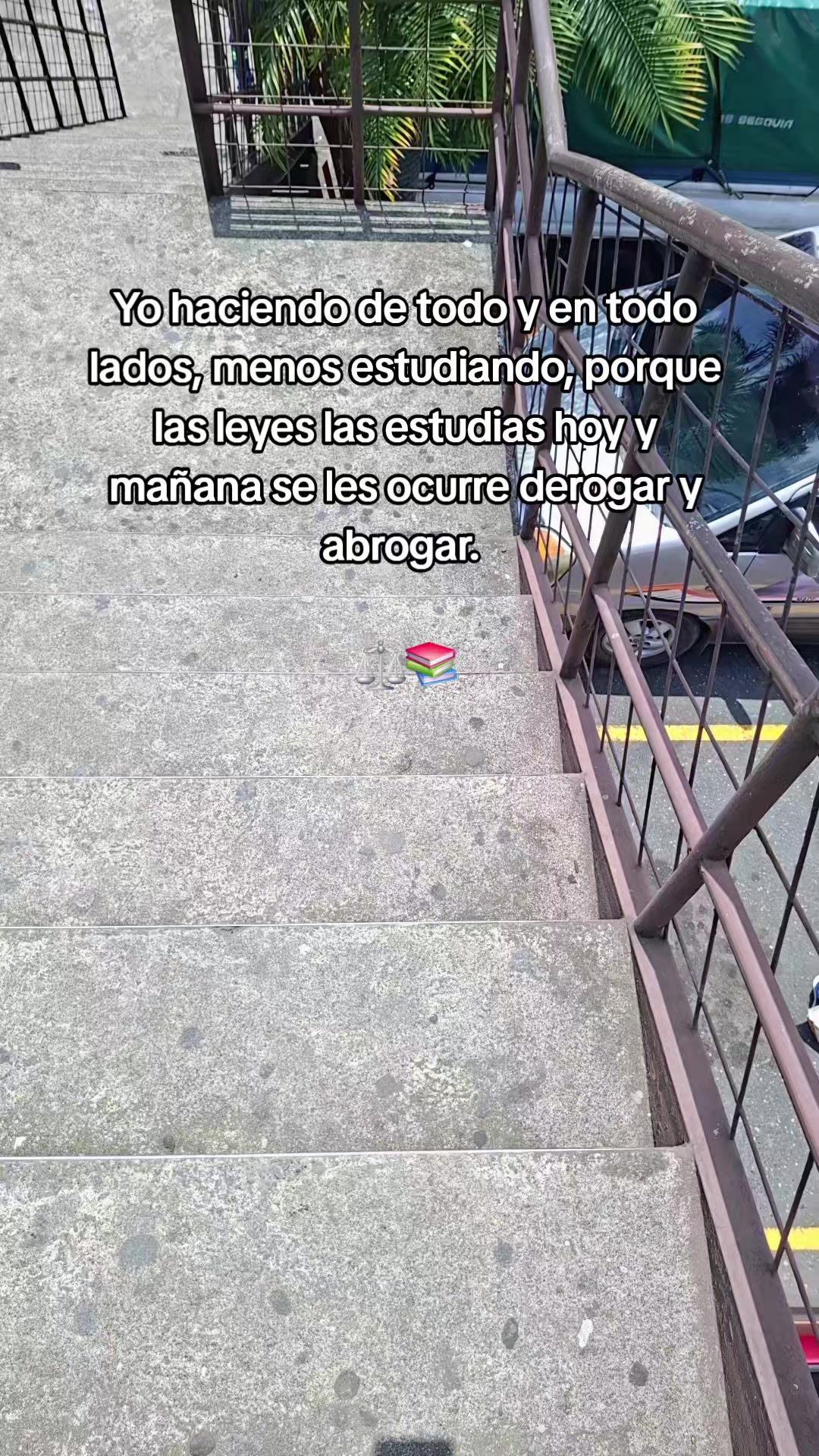 @Fito Yax ⚖️🧃