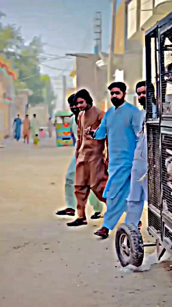 @عدیل رحمن لیہ وال کبوتر باز