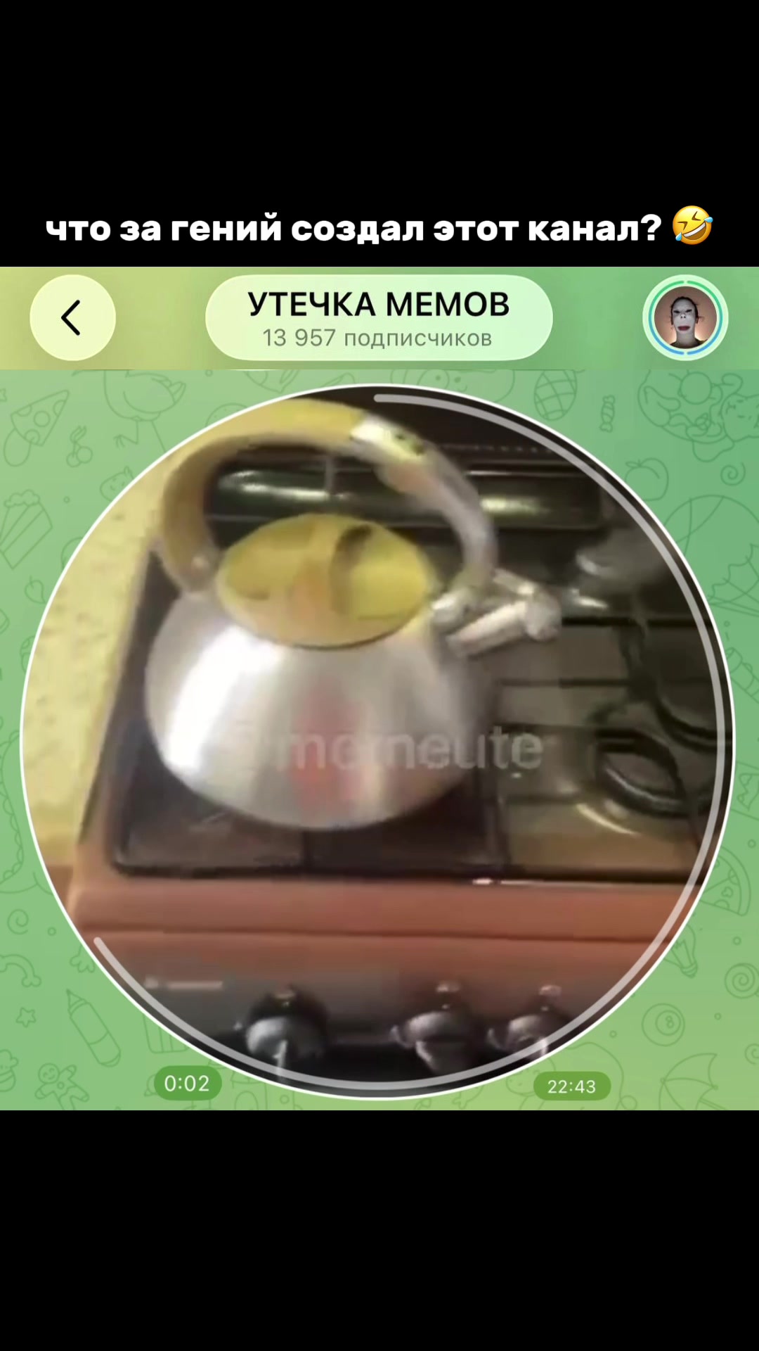 @тгк: memeute