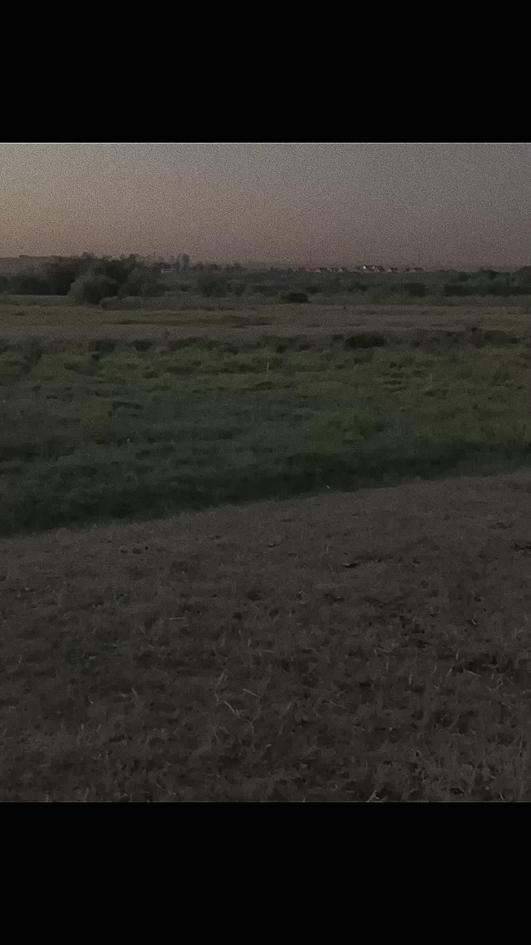 @фермер