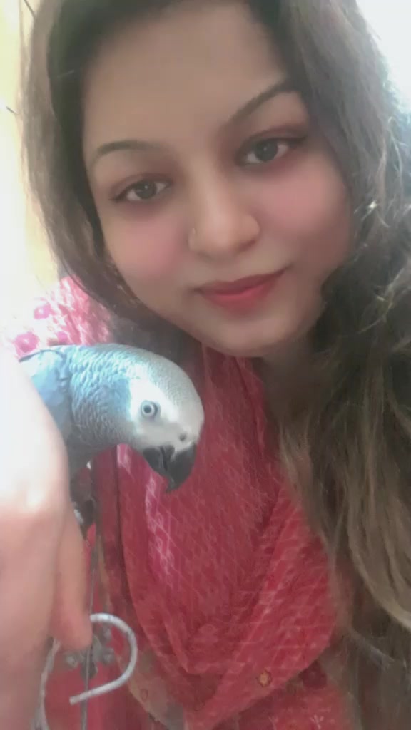 @Syeda Sheza