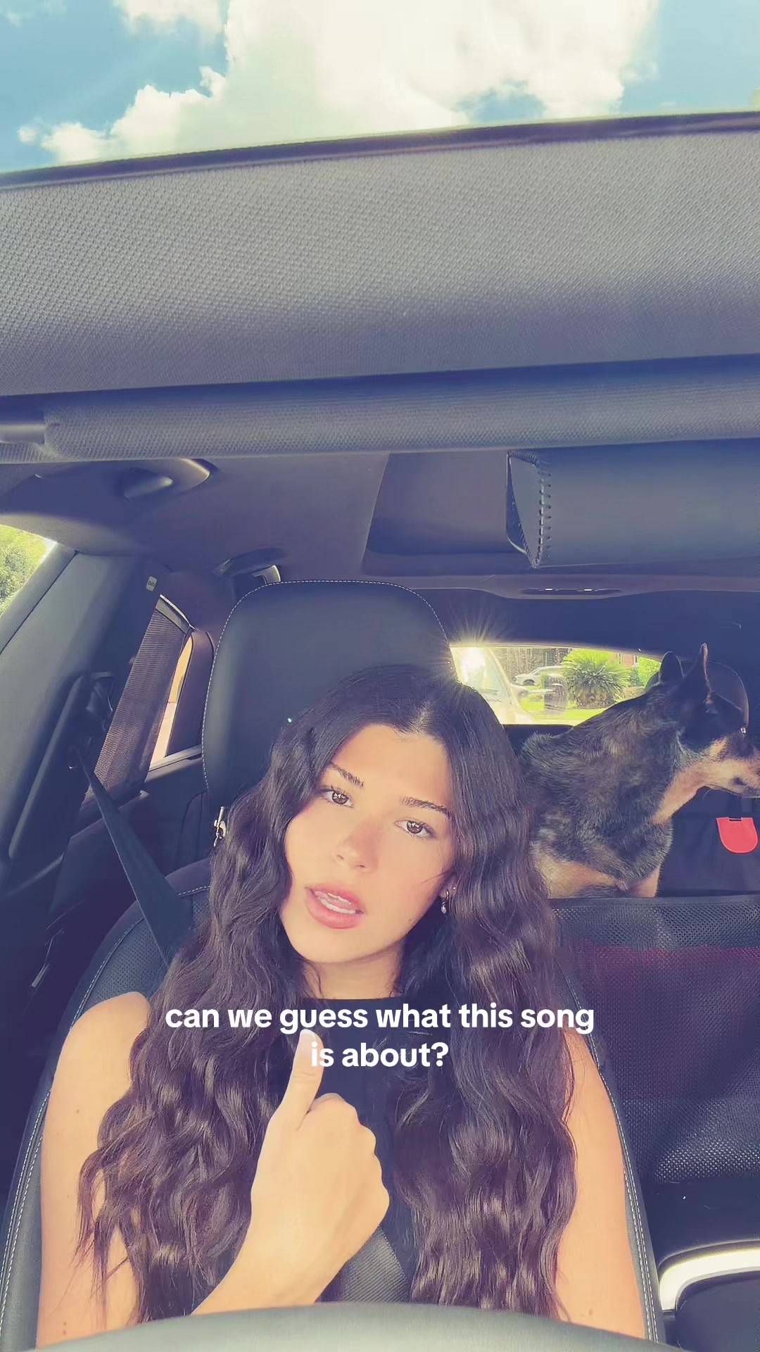 @dyl