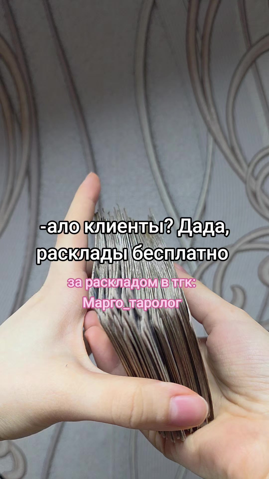 @Паша