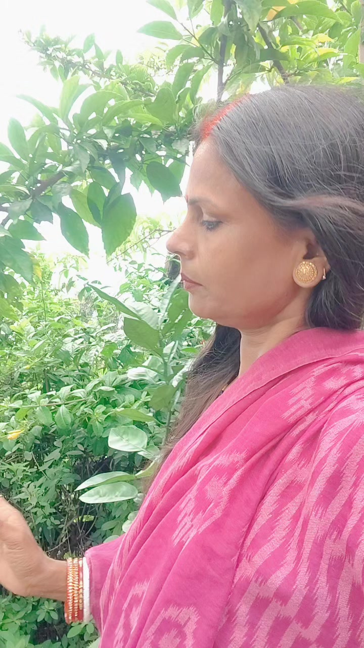 @🦋 DimPle LaDy 🦋