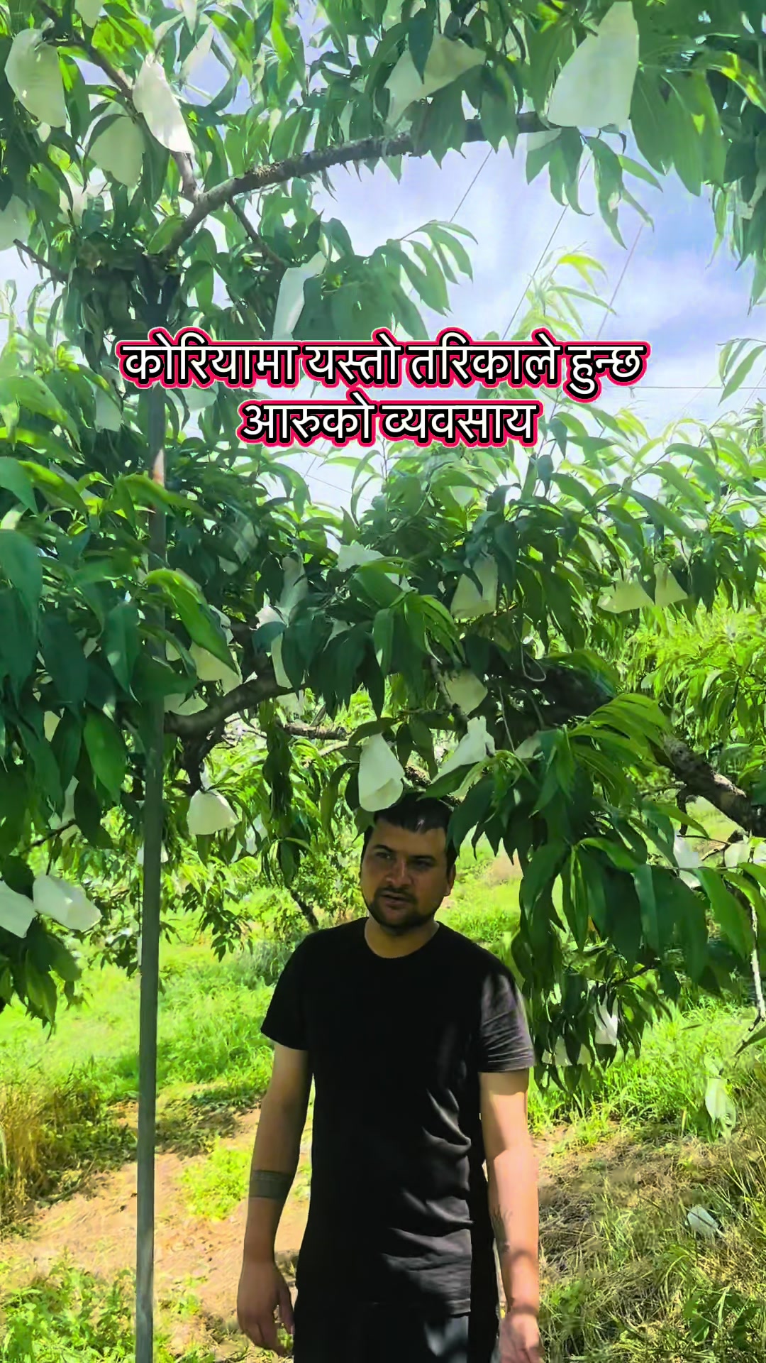 @Anand Bahadur Syangtan🇳🇵🇰🇷