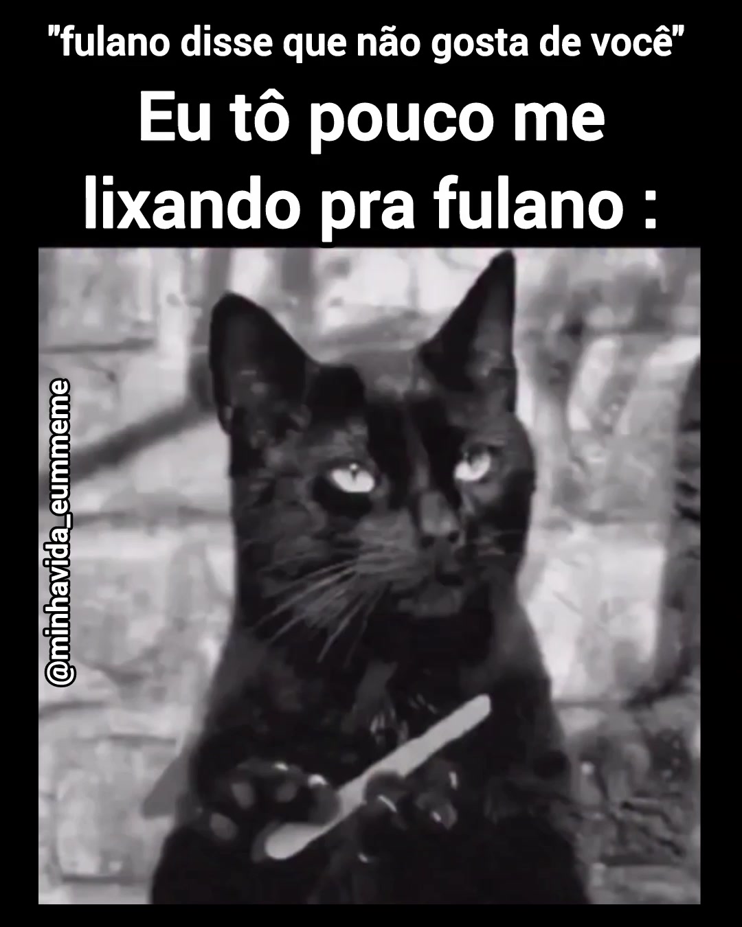 @"MINHA VIDA É UM MEME"