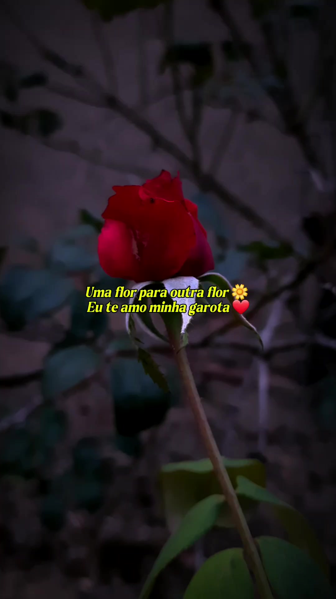 @FRASES DE AMOR❤️
